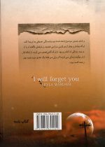 فراموشت خواهم کرد،نویسنده : لیلا مردانی - تصویر 2