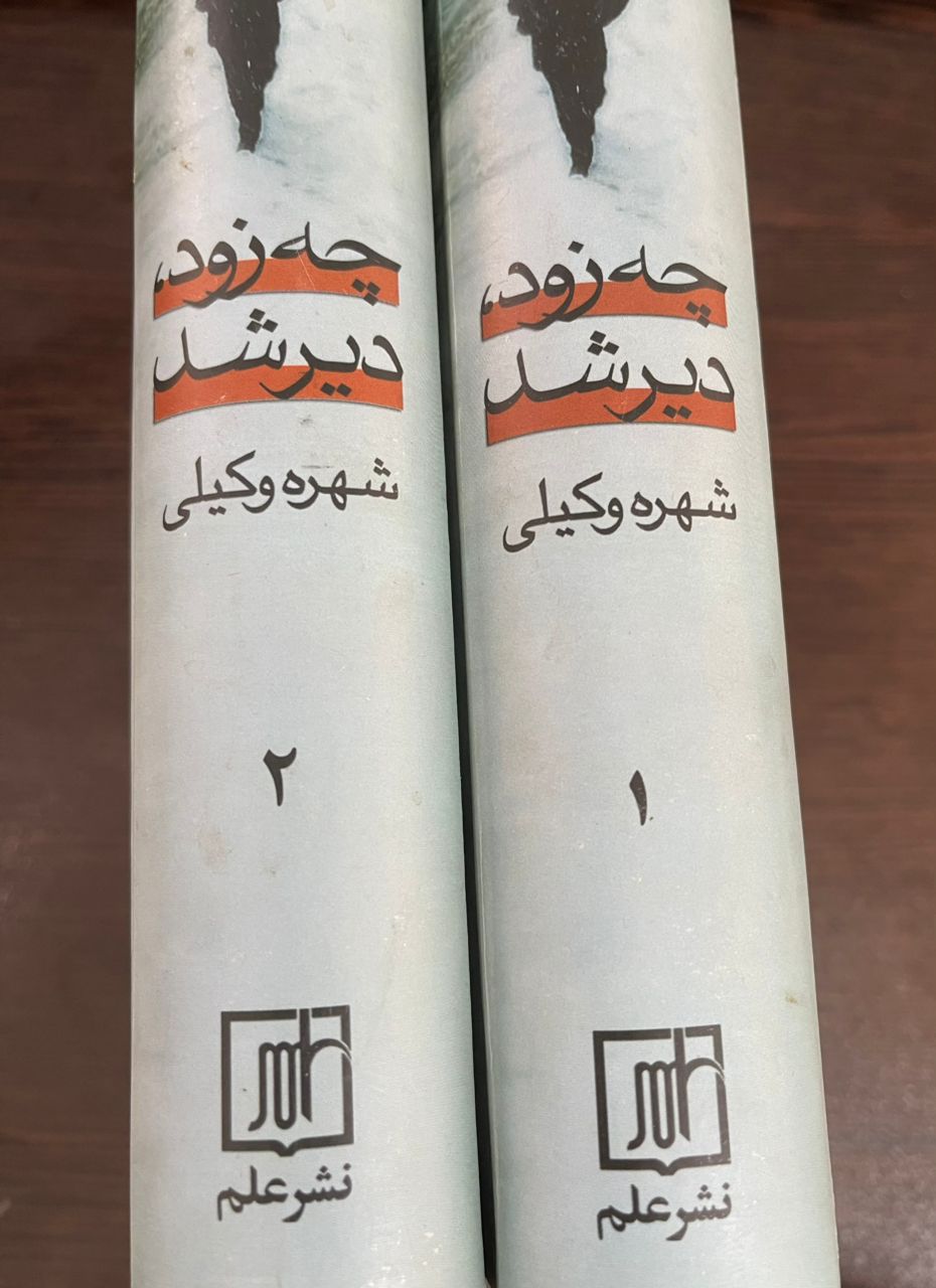 WhatsApp Image 2025-09-19 at 23.37.32_0578252d چه زود دیر شد،نویسنده:شهره وکیلی،کتاب 2 جلدی - تصویر 5