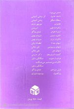 دلاوران بی شمشیر می جنگند،سبکتکین سالور - تصویر 3