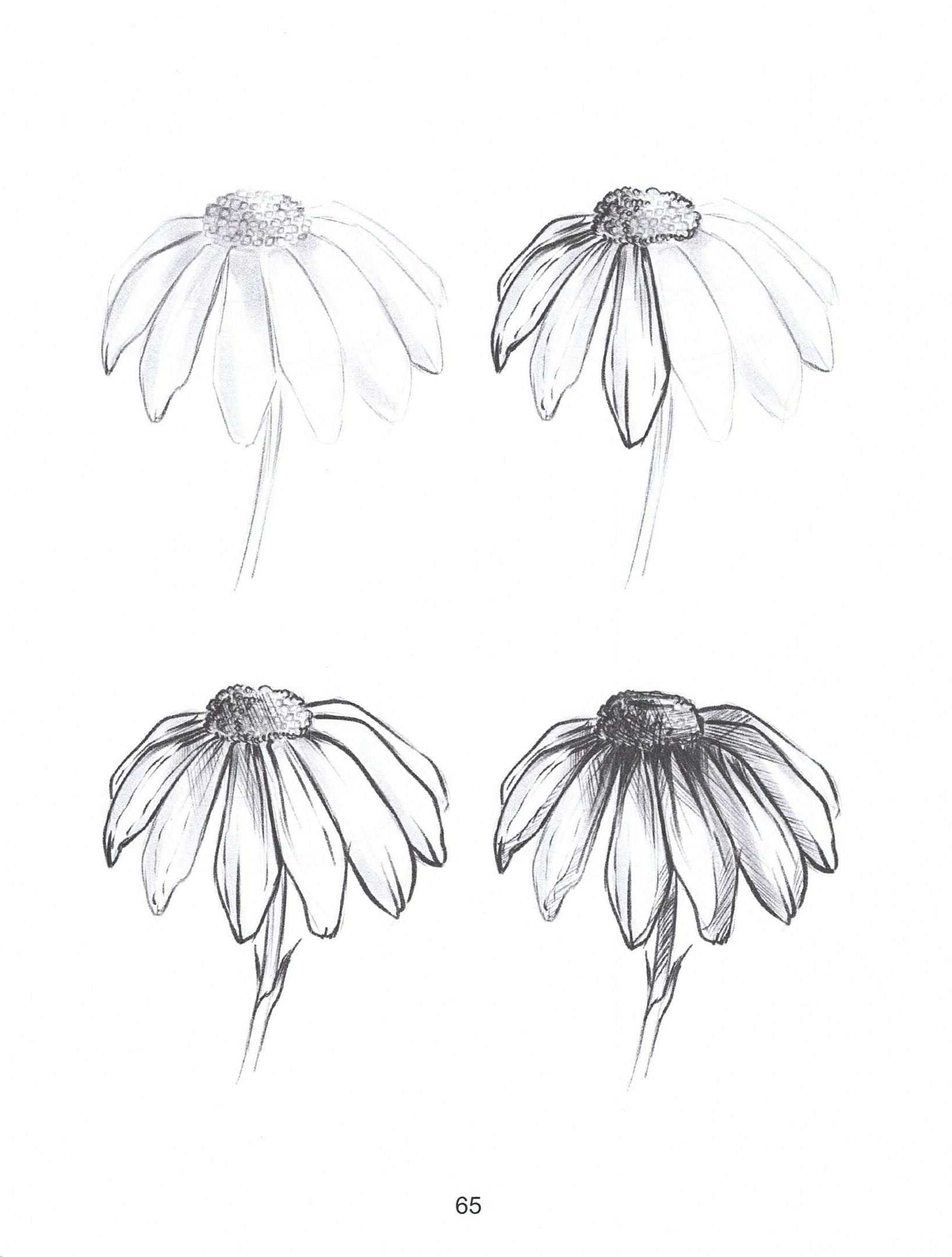 65 چگونه  جالبترین چیز ها را طراحی کنیم  - تصویر 16