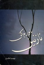 باورم کن نازنین  نوشته مهسا طایع