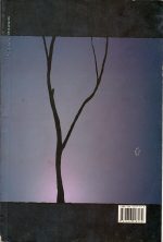 باورم کن نازنین  نوشته مهسا طایع - تصویر 3