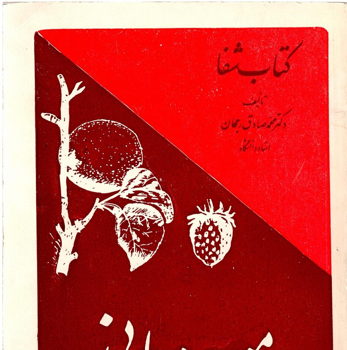 Scan_0041 کتاب شفا  - میوه درمانی   اثر دکتر محمد صادق رجحان - تصویر 1