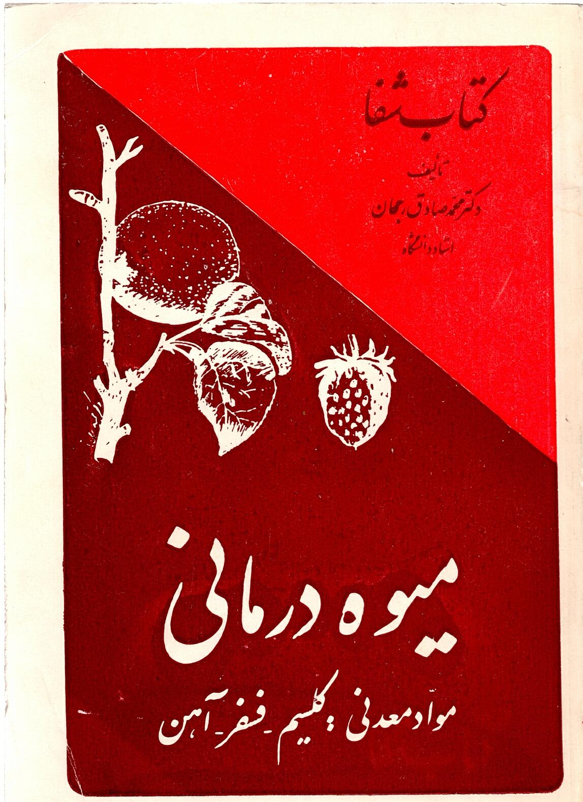 Scan_0041 کتاب شفا  - میوه درمانی   اثر دکتر محمد صادق رجحان - تصویر 3
