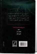 مجنون لیلی اعظم نیک سرشت - تصویر 2