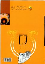 سر آشپز اثر مریم حسینی - تصویر 2