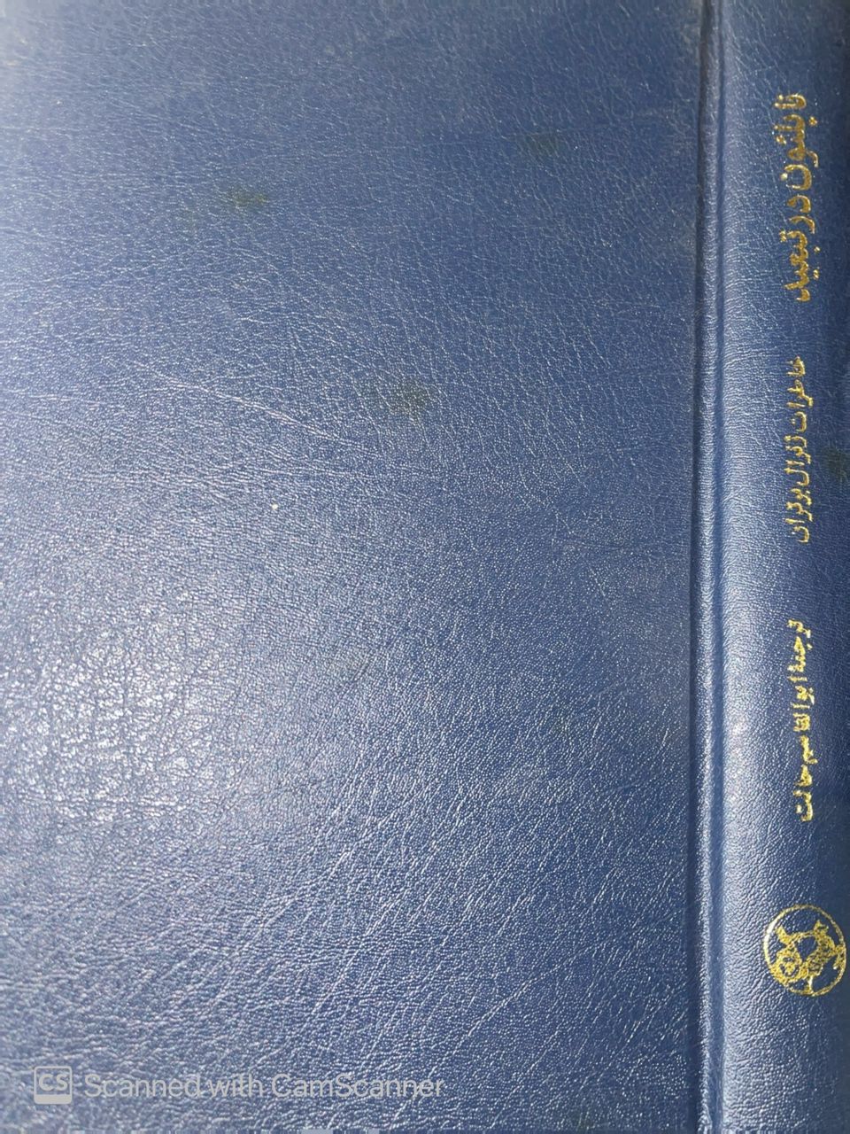 WhatsApp Image 2025-10-04 at 00.16.12_932a4481 ناپلئون در تبعید - تصویر 1